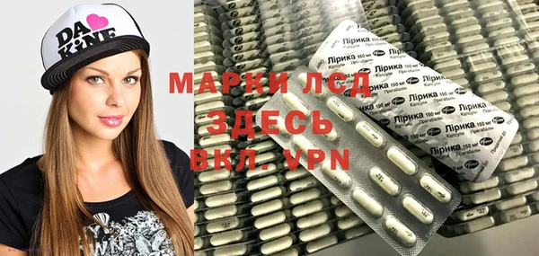 гашик Алексин