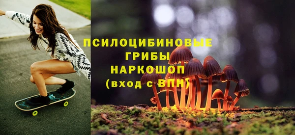спиды Абинск