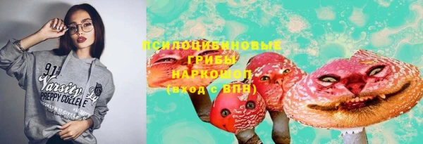 гашик Алексин